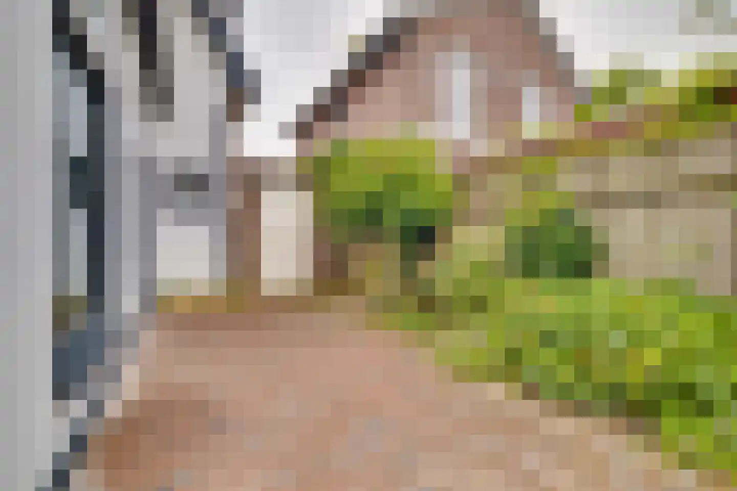 Koninginnelaan 73 Apeldoorn thumbnail 36