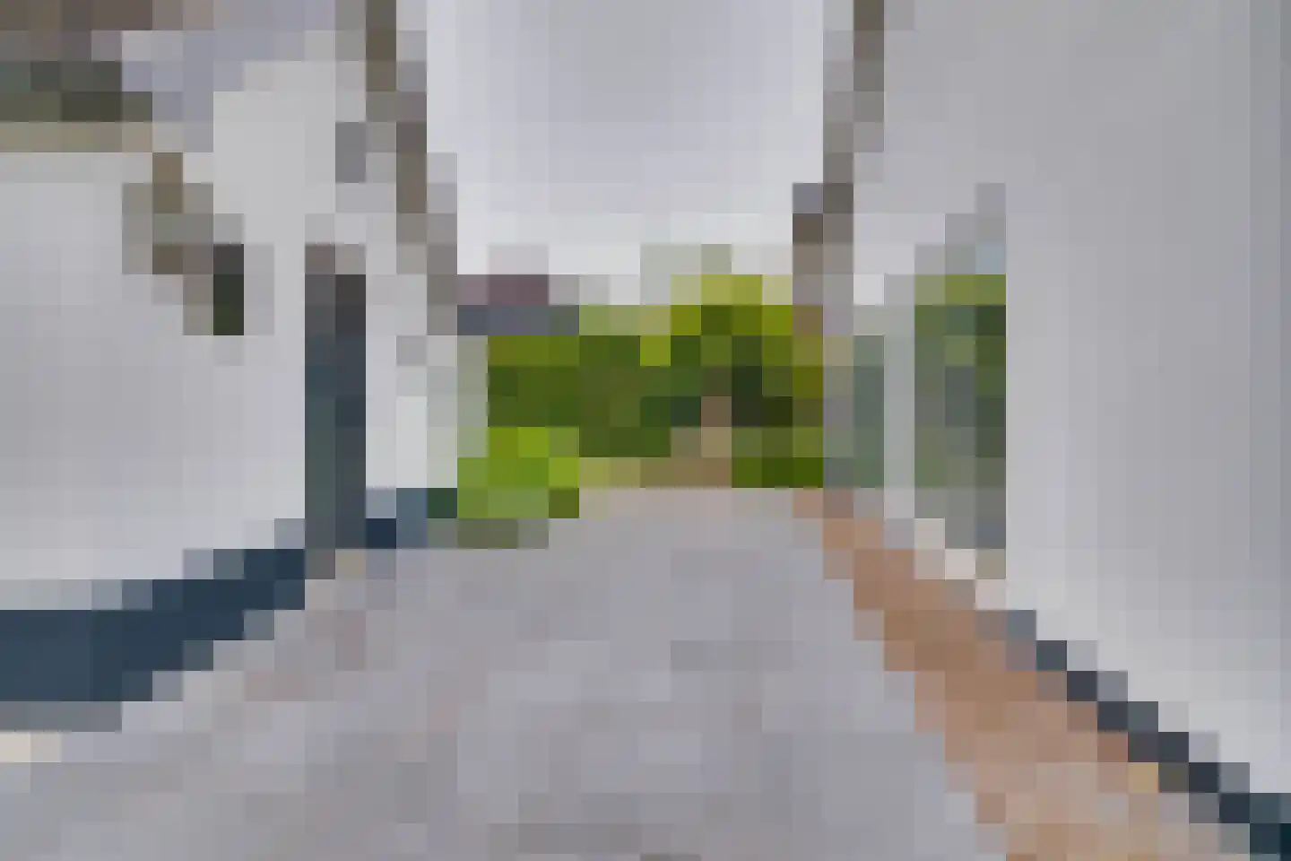 Koninginnelaan 73 Apeldoorn thumbnail 37