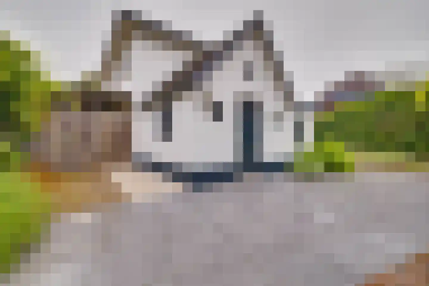 Koninginnelaan 73 Apeldoorn thumbnail 38