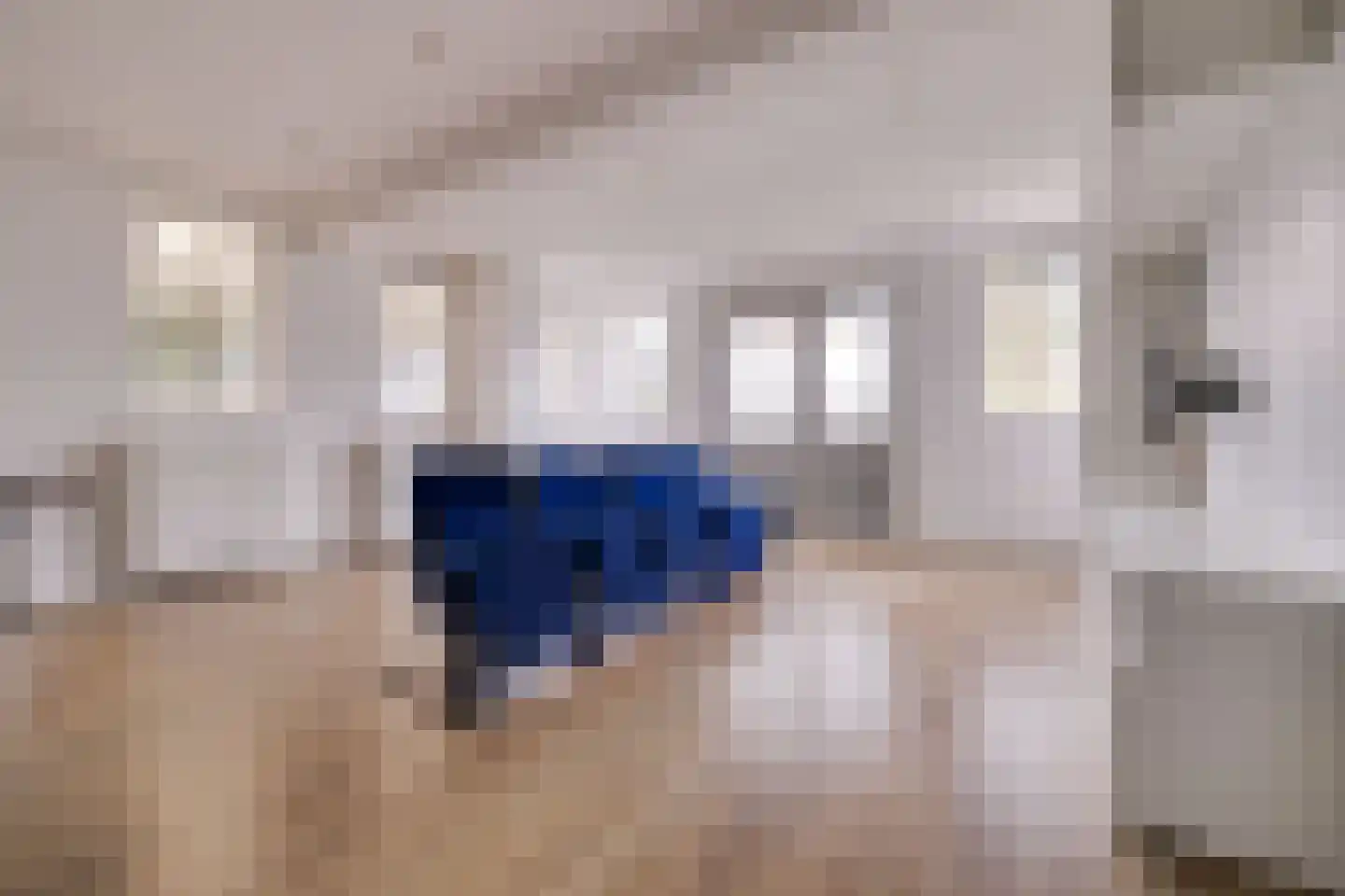 Koninginnelaan 73 Apeldoorn thumbnail 39