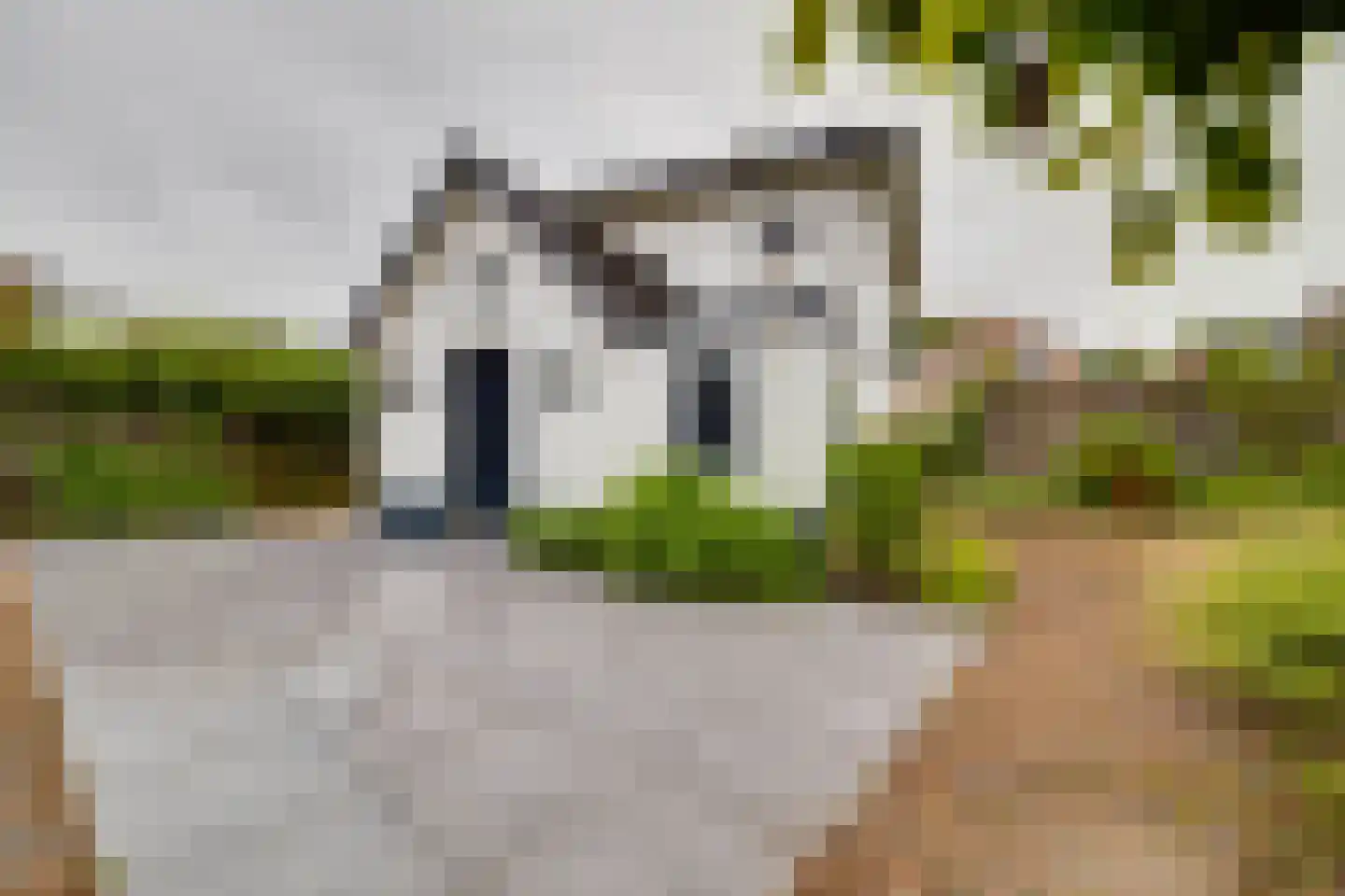 Koninginnelaan 73 Apeldoorn thumbnail 52
