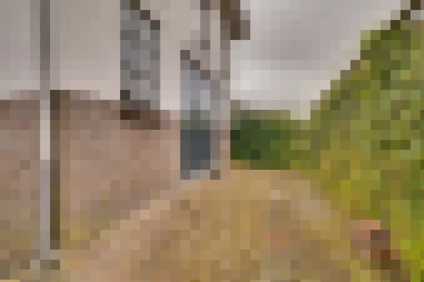 Koninginnelaan 73 Apeldoorn thumbnail 54