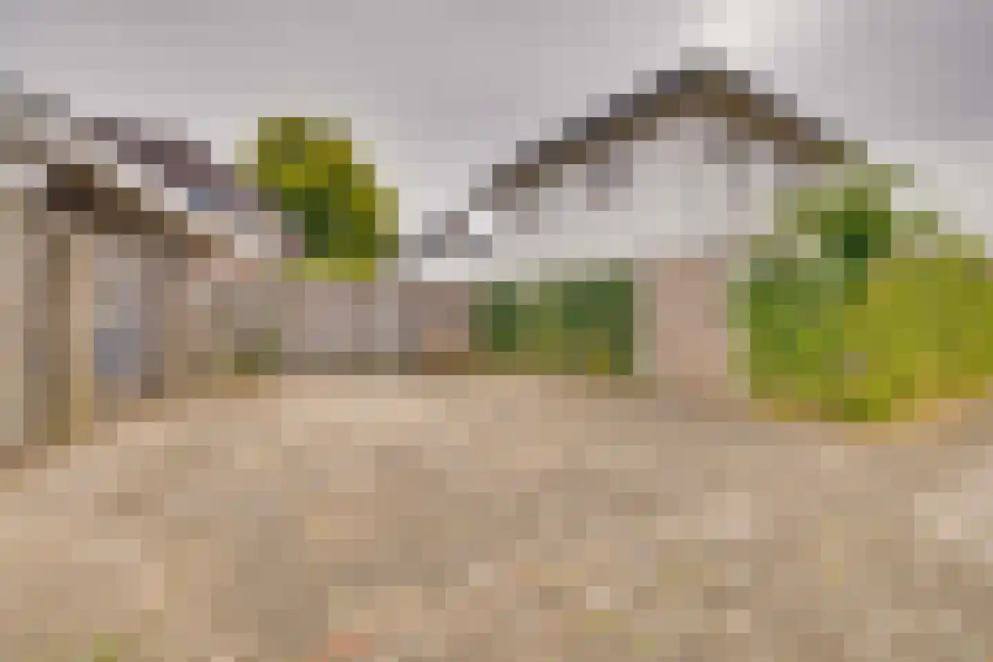 Koninginnelaan 73 Apeldoorn thumbnail 55