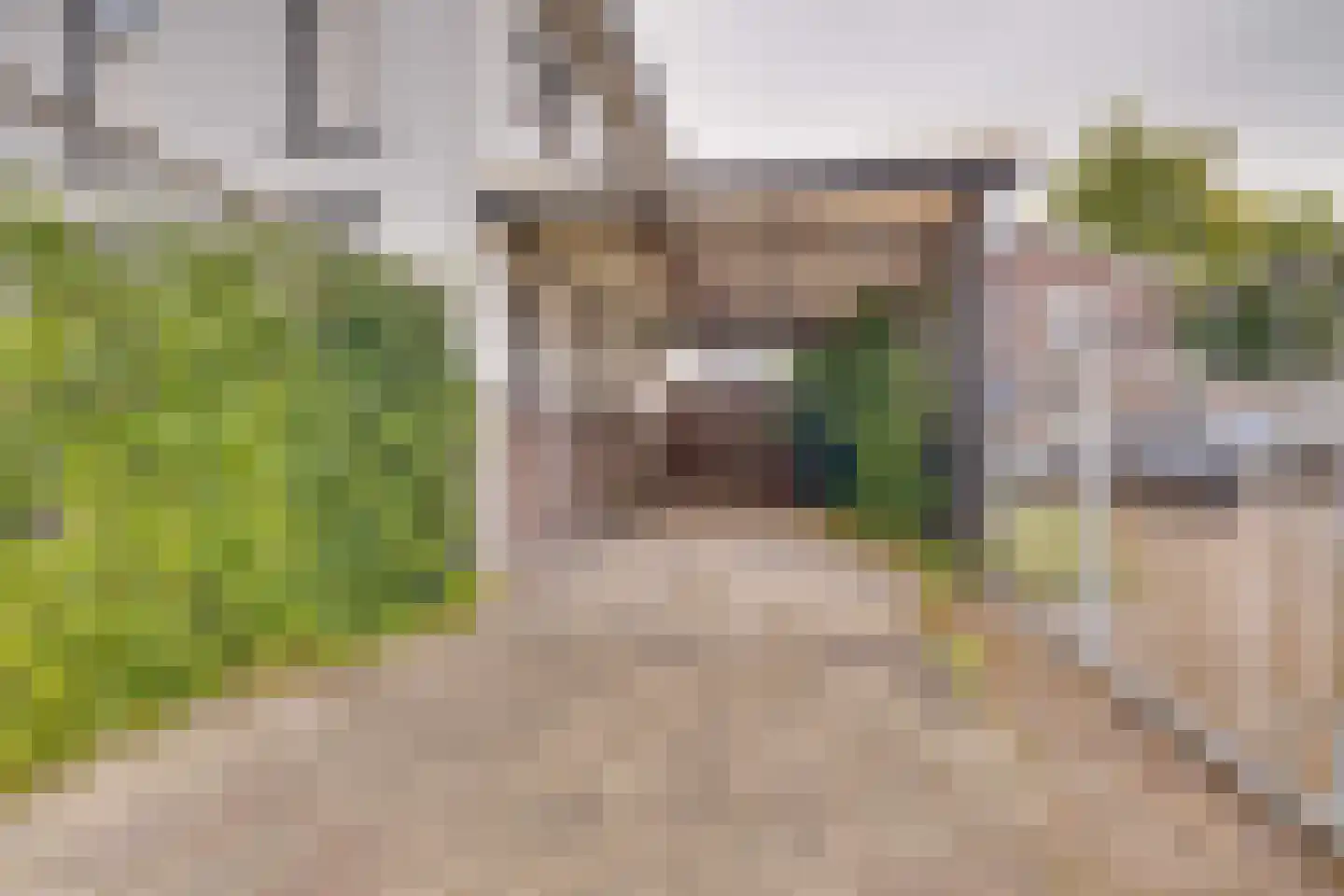 Koninginnelaan 73 Apeldoorn thumbnail 56