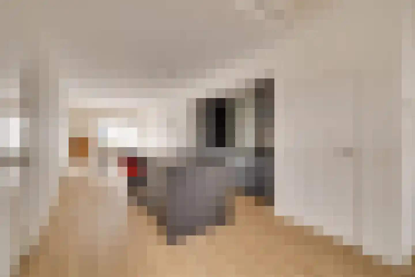 Koninginnelaan 73 Apeldoorn thumbnail 9