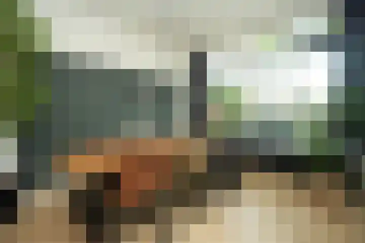 Koninginnelaan 75 Nijmegen thumbnail 10