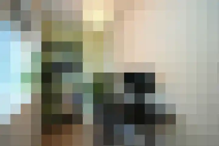 Koninginnelaan 75 Nijmegen thumbnail 23