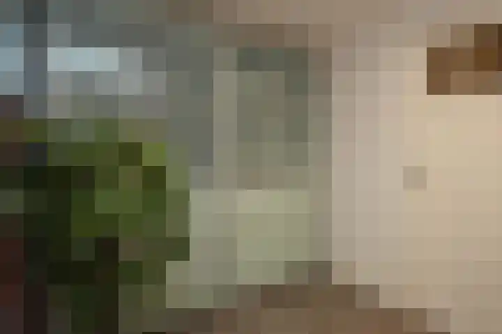 Koninginnelaan 75 Nijmegen thumbnail 32