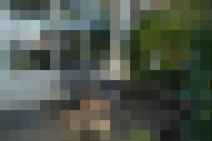 Koninginnelaan 75 Nijmegen thumbnail 4