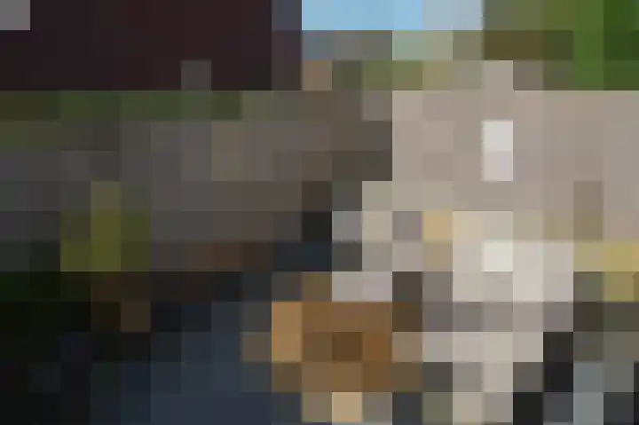 Koninginnelaan 75 Nijmegen thumbnail 47