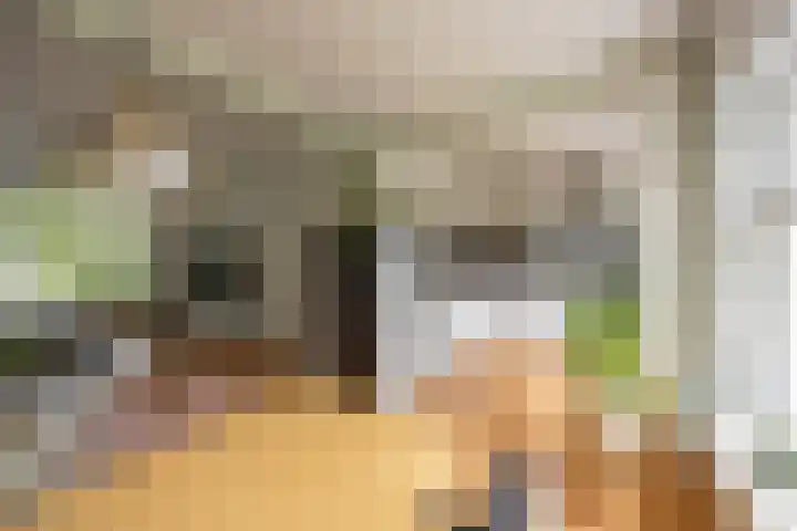 Koninginnelaan 76 a Groningen thumbnail 13