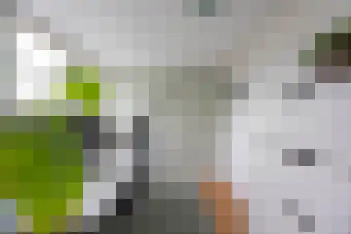 Koninginnelaan 76 a Groningen thumbnail 21