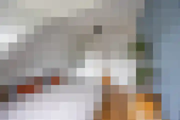 Koninginnelaan 76 a Groningen thumbnail 23