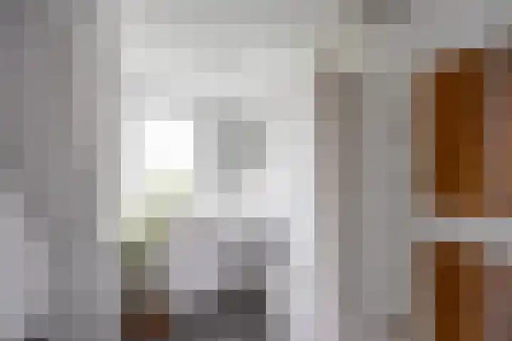 Koninginnelaan 76 a Groningen thumbnail 26