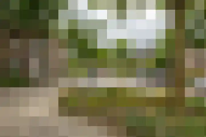 Koninginnelaan 76 a Groningen thumbnail 30