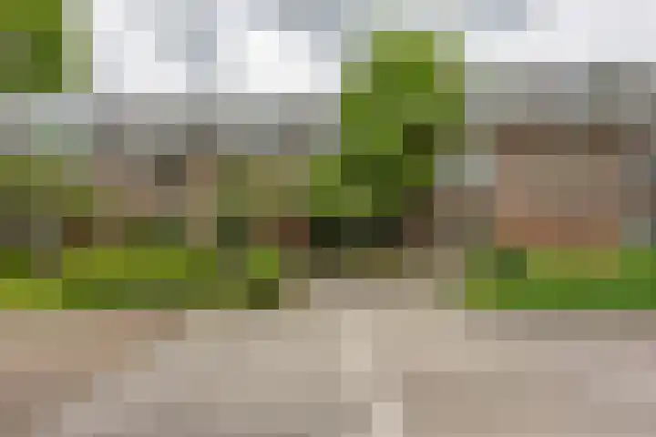 Koninginnelaan 76 a Groningen thumbnail 31