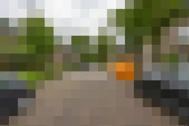 Koninginnelaan 76 a Groningen thumbnail 32