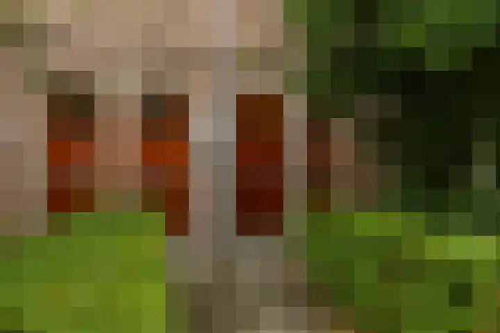 Koninginnelaan 76 a Groningen thumbnail 4