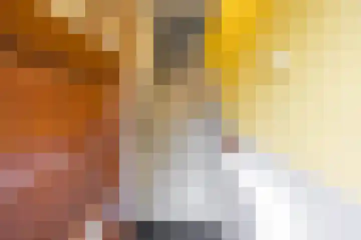 Koninginnelaan 76 a Groningen thumbnail 6