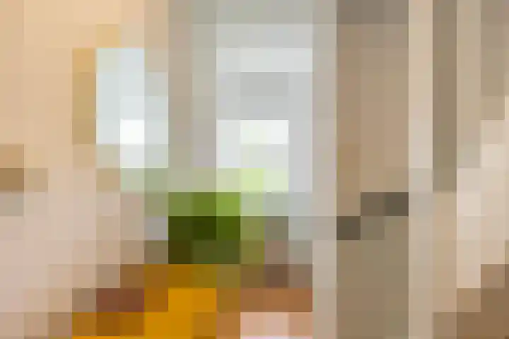 Koninginnelaan 76 a Groningen thumbnail 7