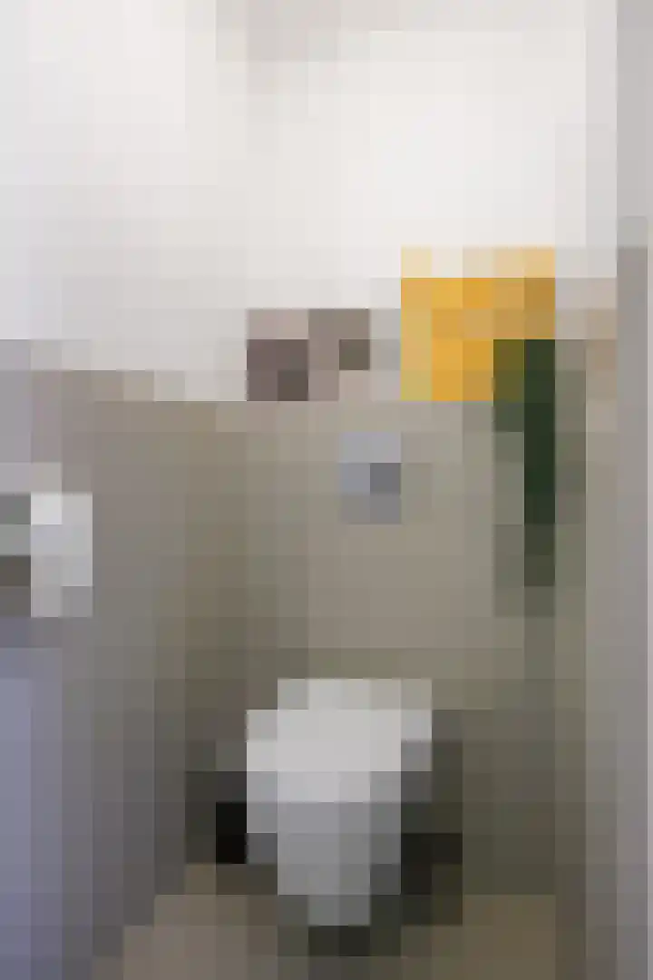 Koninginnelaan 77 b Groningen thumbnail 20