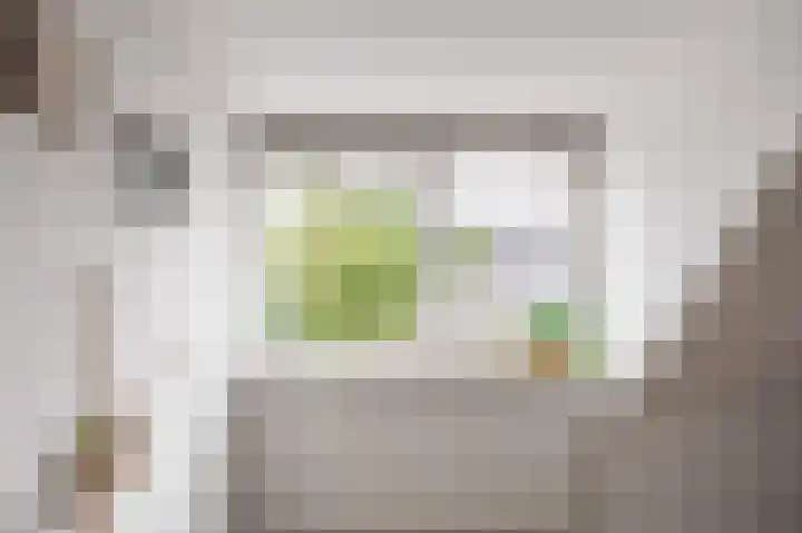 Koninginnelaan 77 b Groningen thumbnail 25