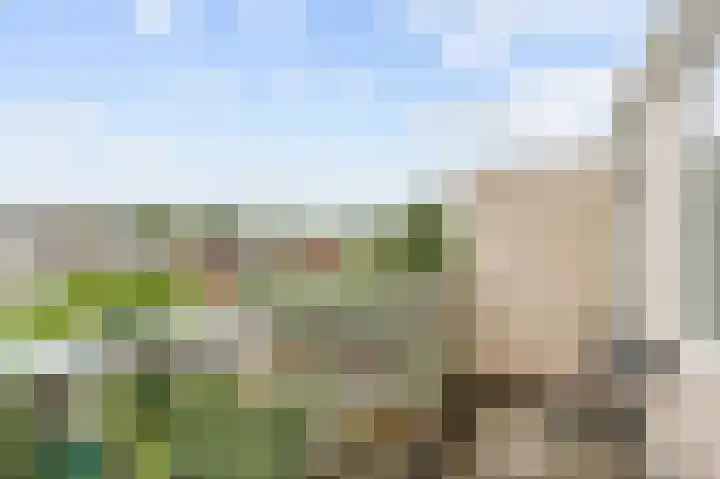 Koninginnelaan 77 b Groningen thumbnail 34