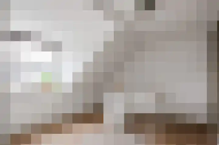 Koninginnelaan 77 b Groningen thumbnail 35