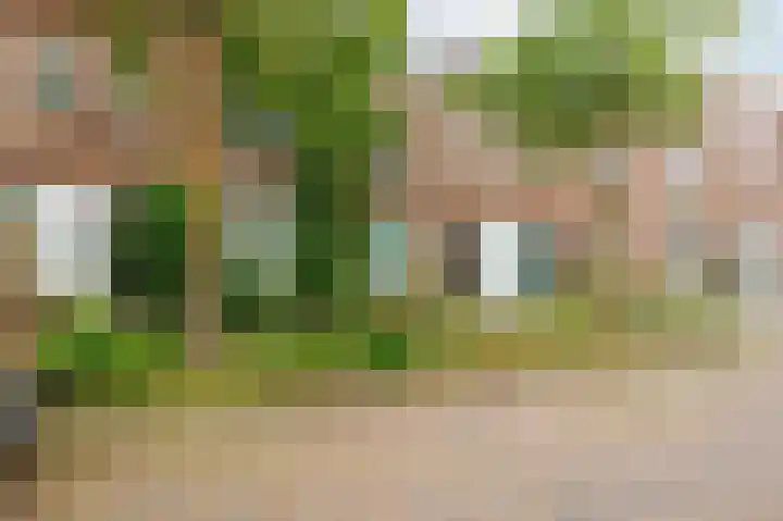 Koninginnelaan 77 b Groningen thumbnail 38
