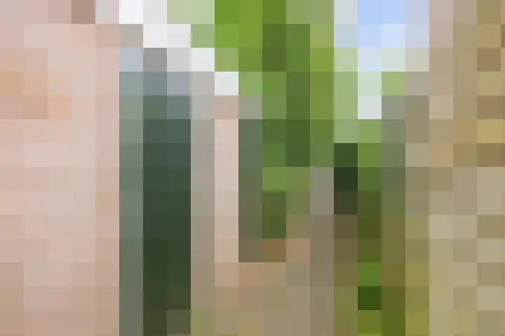 Koninginnelaan 77 b Groningen thumbnail 40