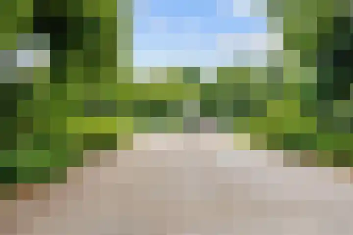 Koninginnelaan 77 b Groningen thumbnail 41