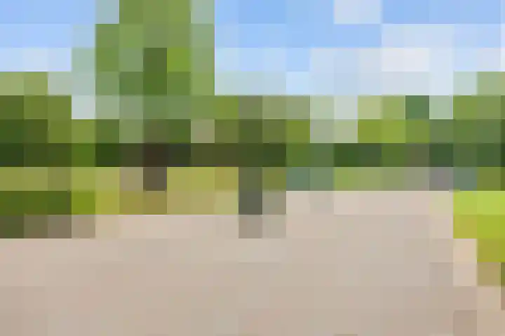 Koninginnelaan 77 b Groningen thumbnail 42