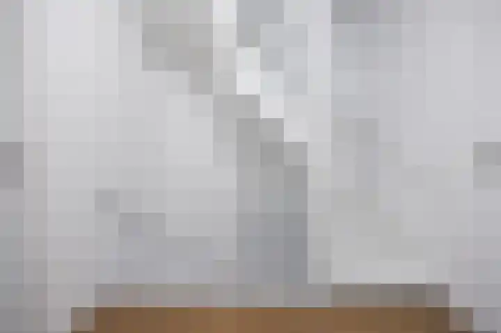 Koninginnelaan 77 b Groningen thumbnail 6