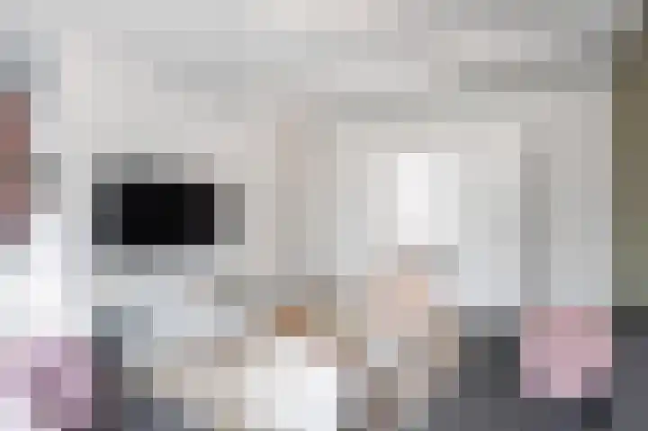 Koninginnelaan 77 b Groningen thumbnail 9