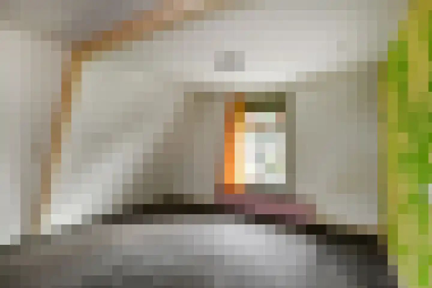 Koninginnelaan 81 Apeldoorn thumbnail 20