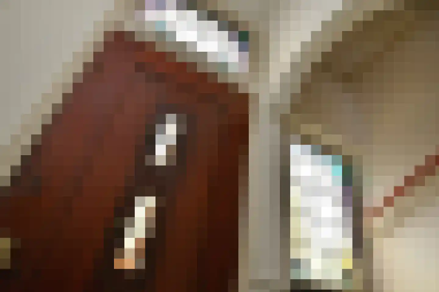 Koninginnelaan 81 Apeldoorn thumbnail 6