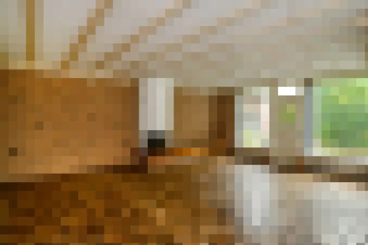 Koninginnelaan 81 Apeldoorn thumbnail 9