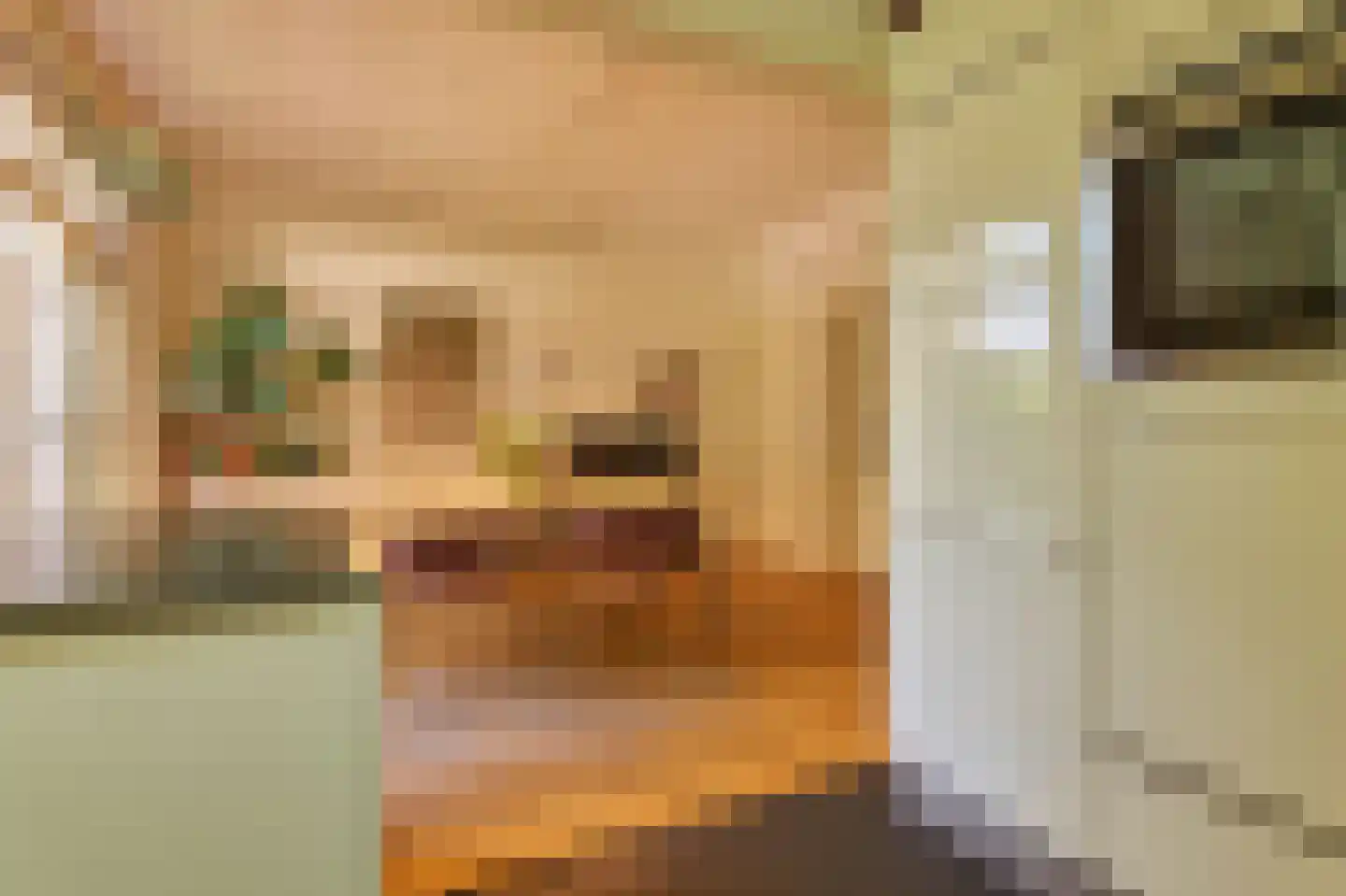 Koninginnelaan 81 Rijswijk thumbnail 13