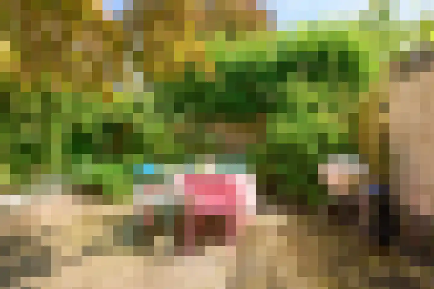 Koninginnelaan 81 Rijswijk thumbnail 15