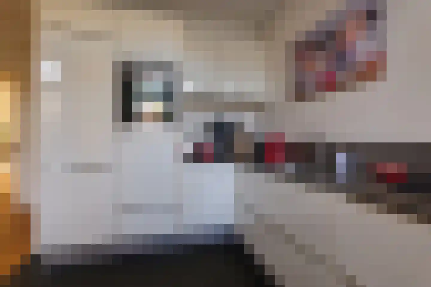 Koninginnelaan 81 Rijswijk thumbnail 27
