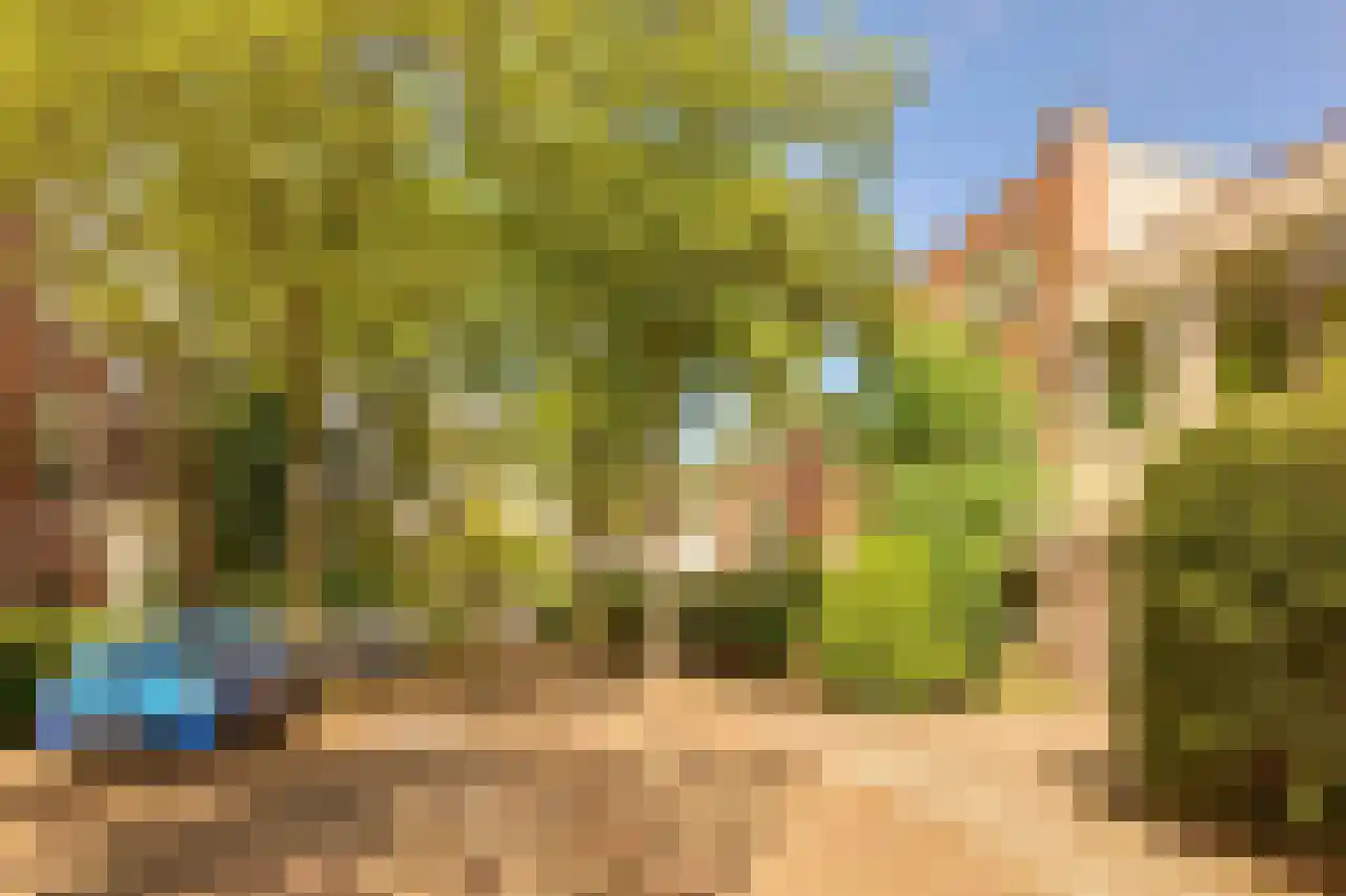 Koninginnelaan 81 Rijswijk thumbnail 33