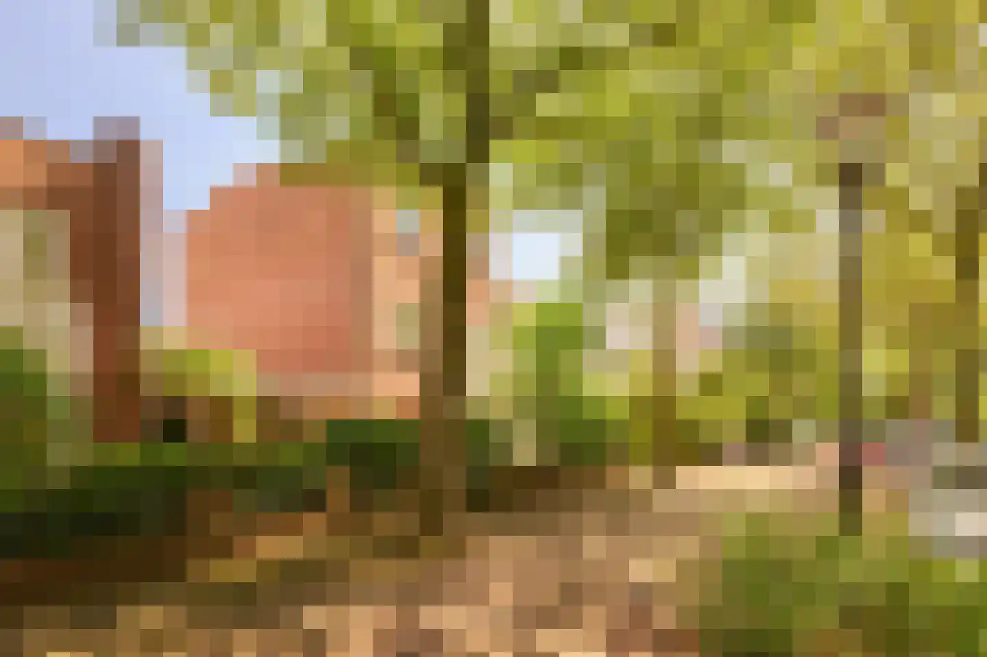 Koninginnelaan 81 Rijswijk thumbnail 34