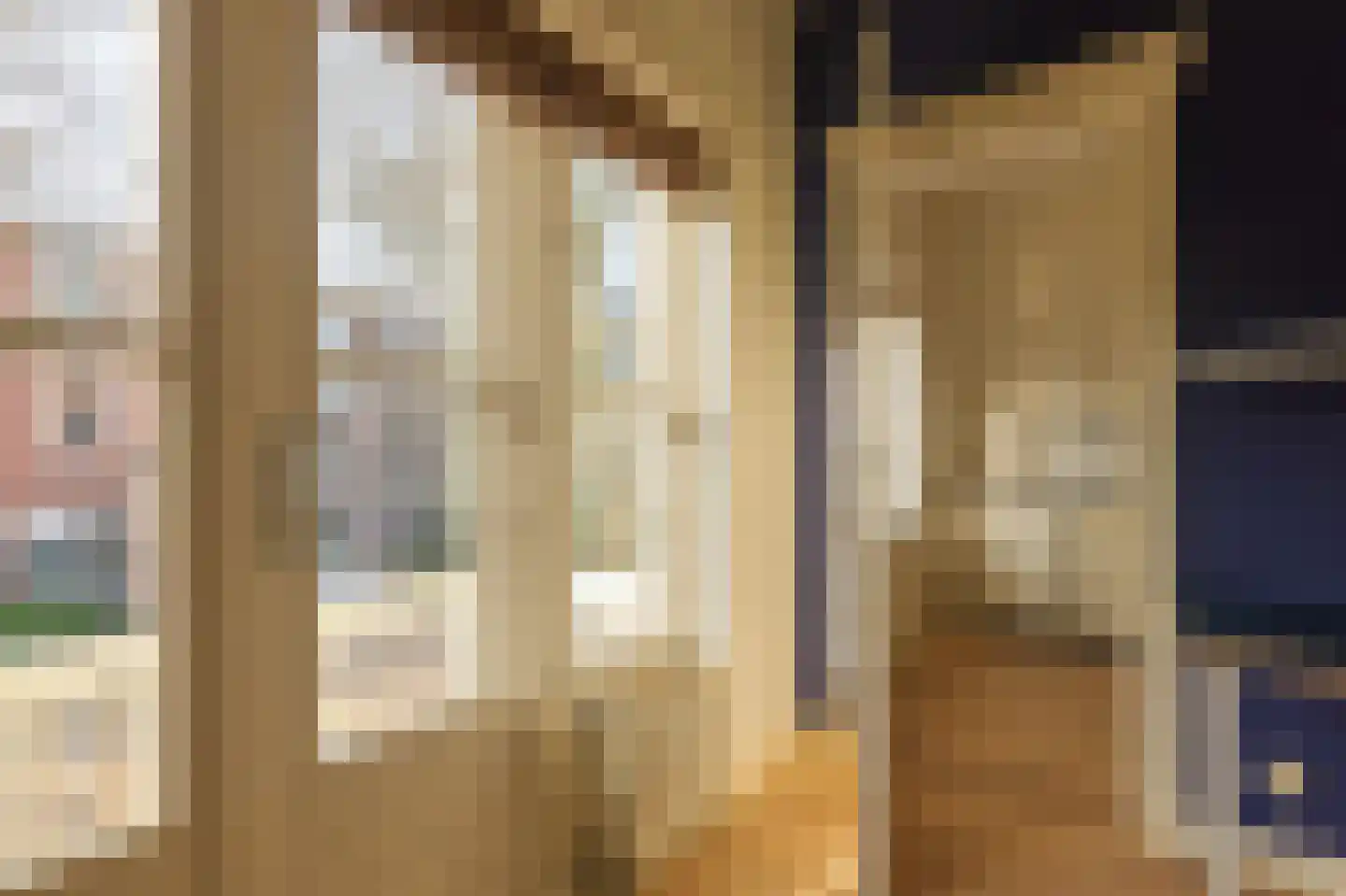 Koninginnelaan 81 Rijswijk thumbnail 38