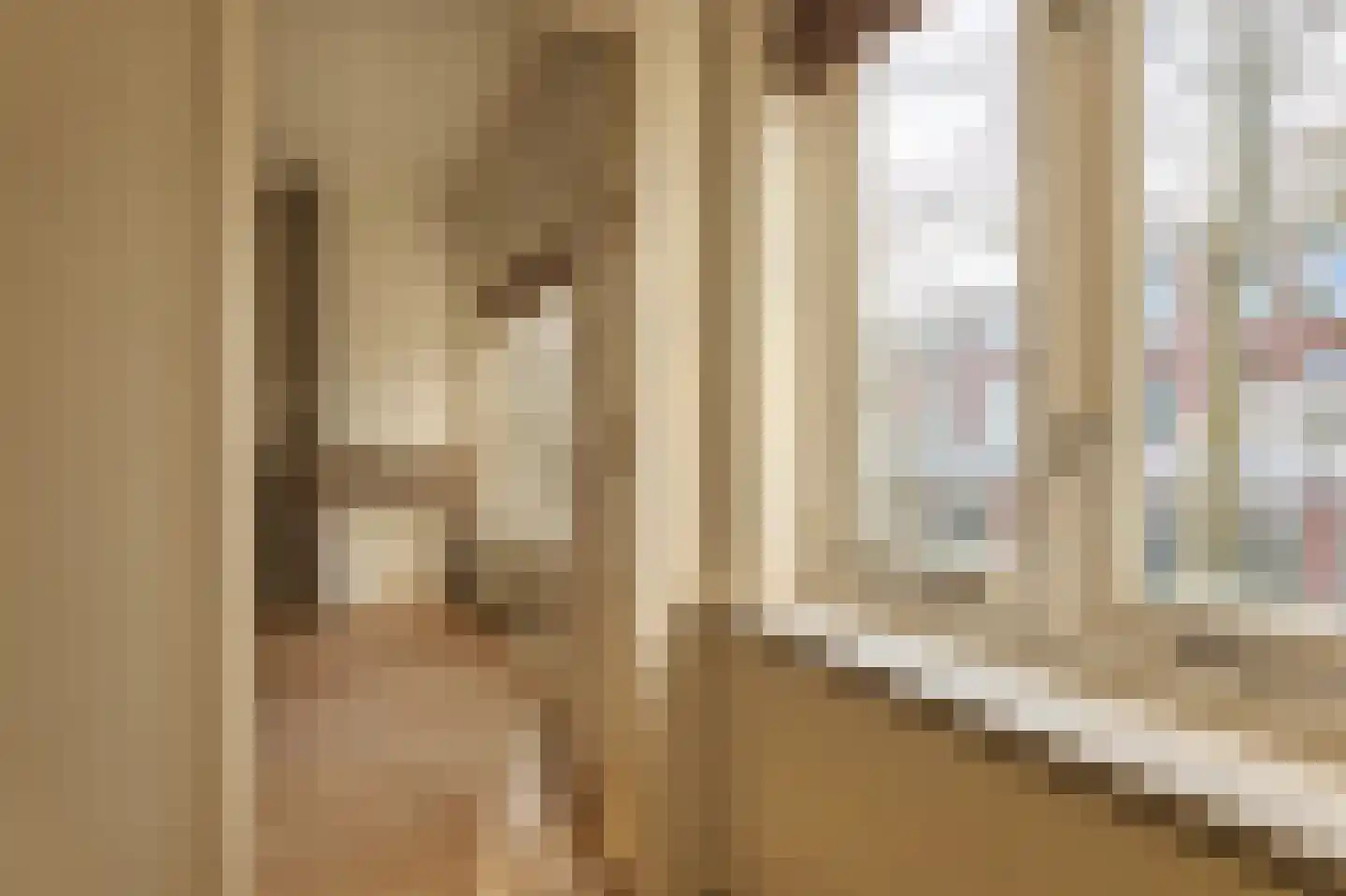 Koninginnelaan 81 Rijswijk thumbnail 39