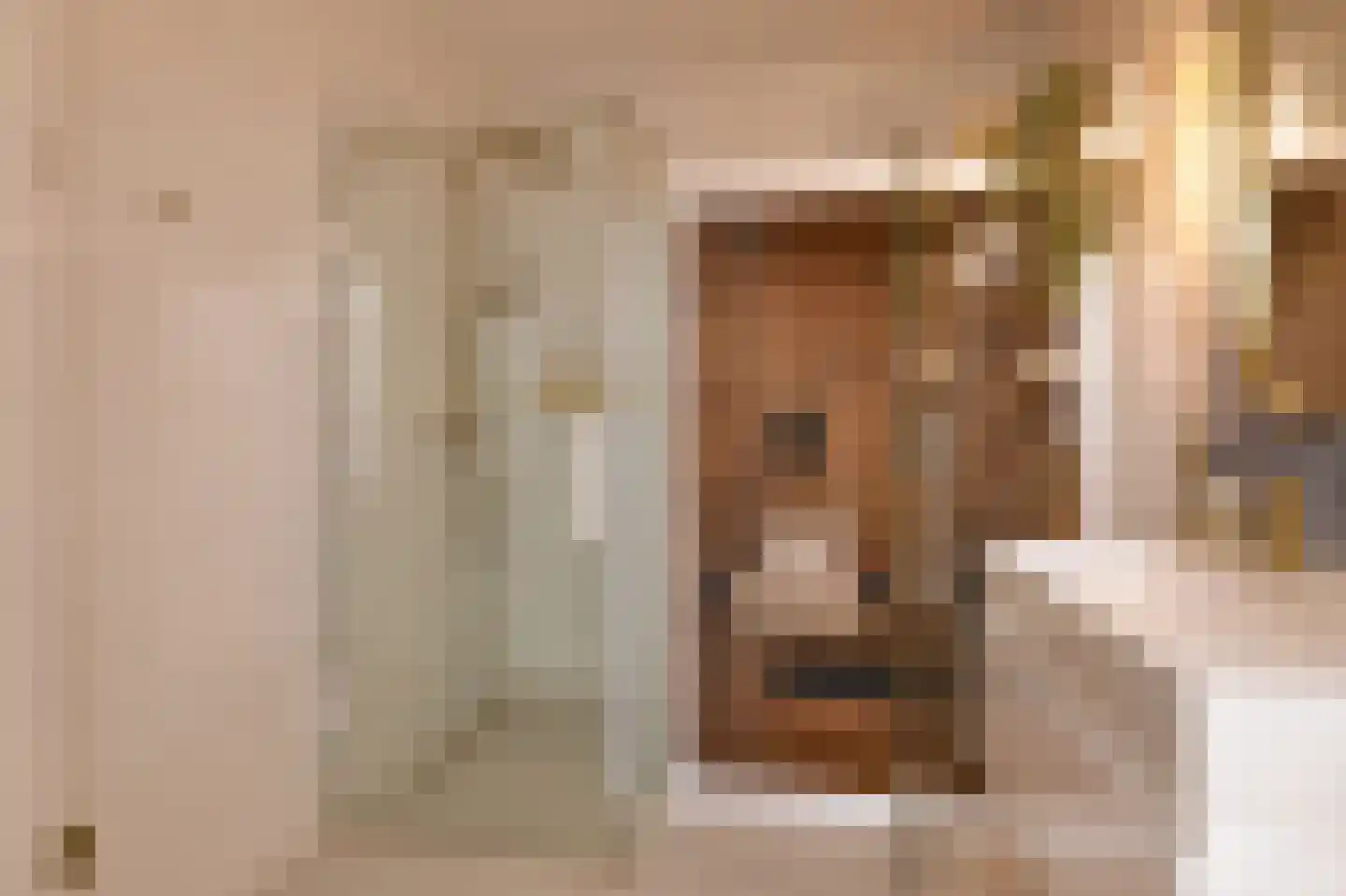 Koninginnelaan 81 Rijswijk thumbnail 55