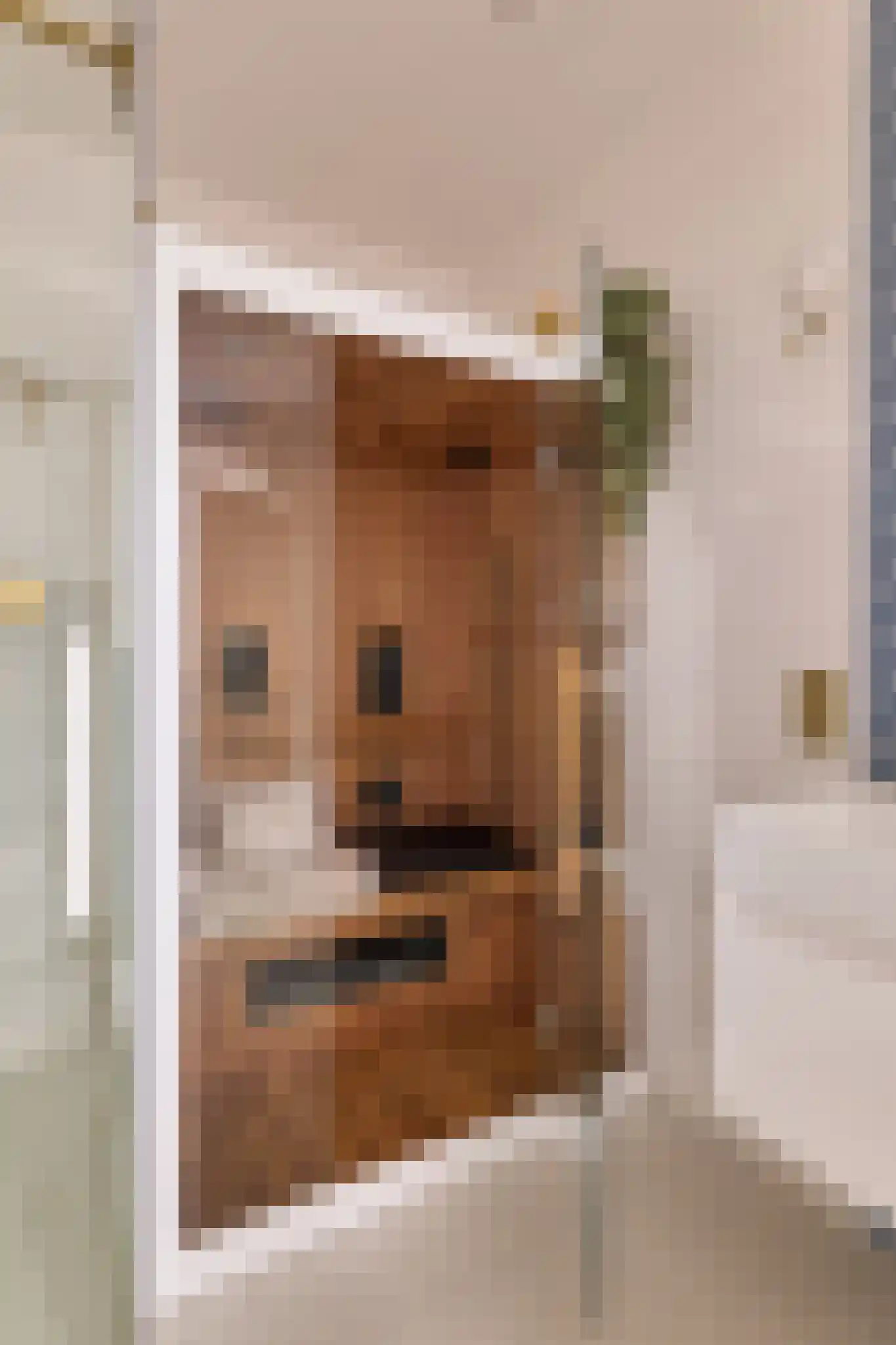 Koninginnelaan 81 Rijswijk thumbnail 56