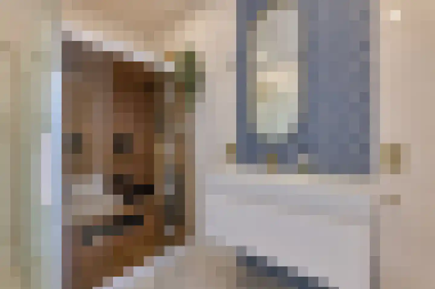 Koninginnelaan 81 Rijswijk thumbnail 58