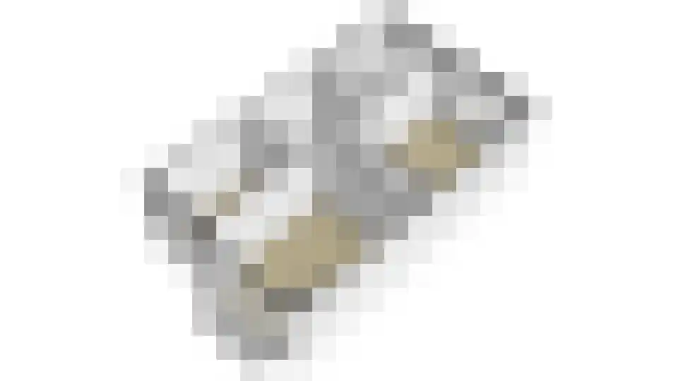 Koninginnelaan 81 Rijswijk thumbnail 65