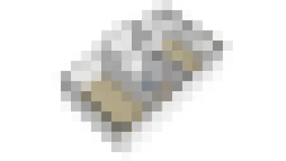 Koninginnelaan 81 Rijswijk thumbnail 68