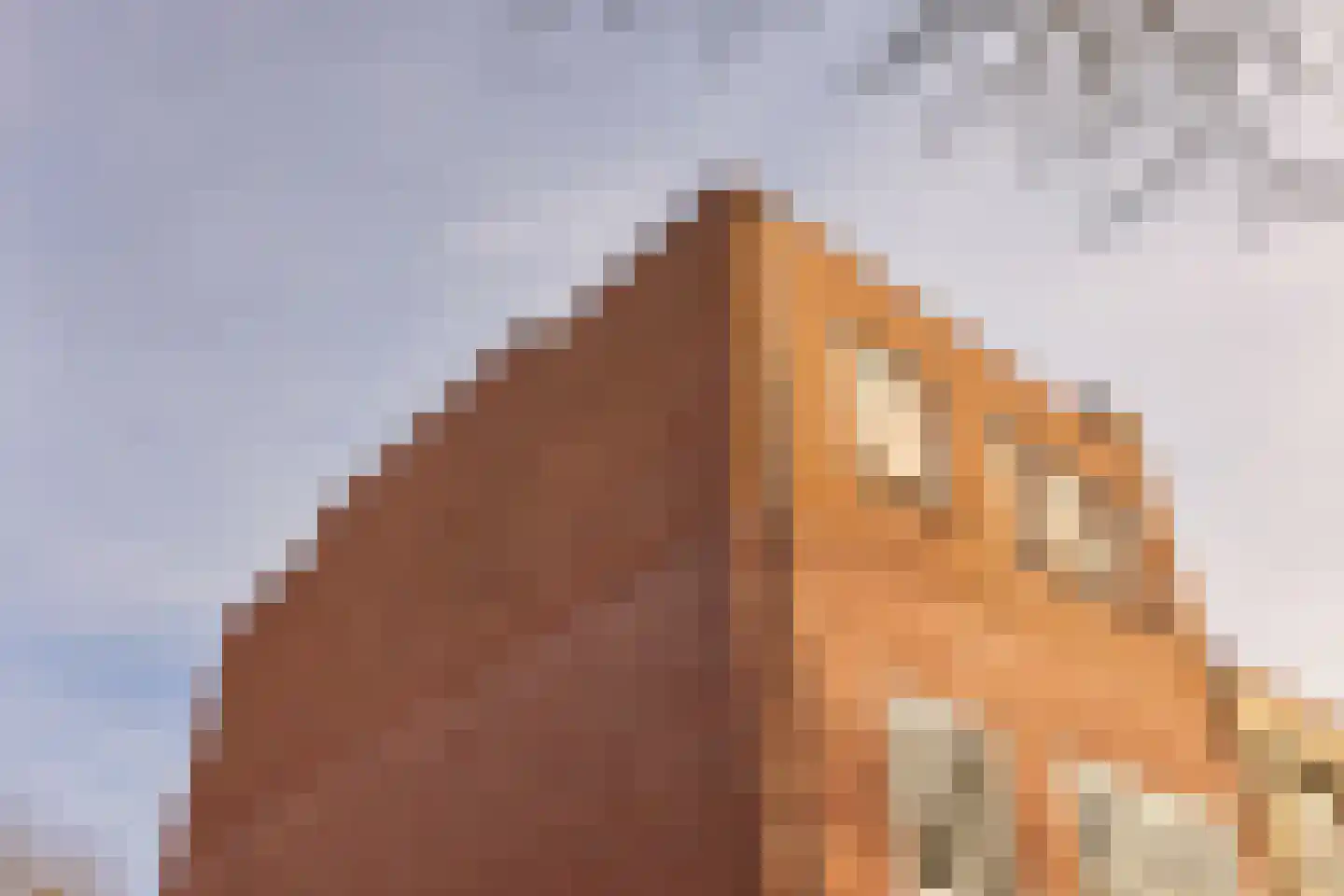 Koninginnelaan 81 Rijswijk thumbnail 7